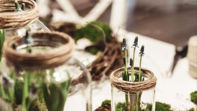 Plant vase flowers decoration 4k wallpaper