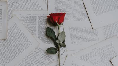 Rose books texts 4k wallpaper