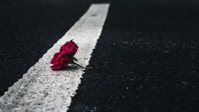 Rose flower asphalt 4k wallpaper
