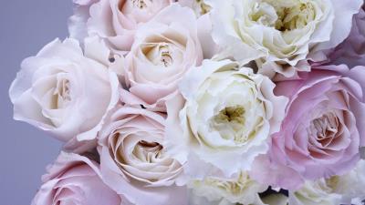 Roses bouquet tenderness 4k wallpaper