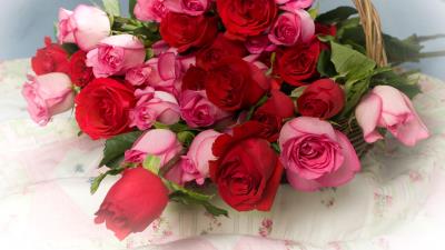 Roses flowers lot baske 4k wallpaper