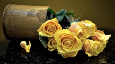 Roses flowers vase surface leaves yello 4k wallpaper