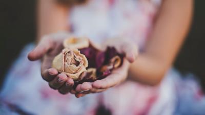 Roses herbarium hands flowers 4k wallpaper