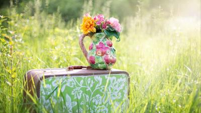 Suitcase grass flowers vase 4k wallpaper
