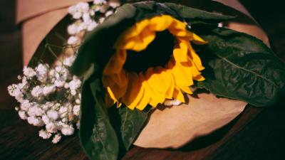 Sunflower flowers bouquet composition 4k wallpaper