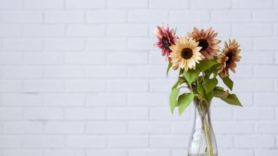 Sunflower flowers vase 4k wallpaper