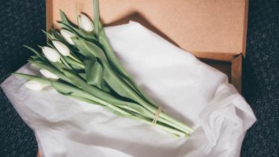 Tulips bouquet packing 4k wallpaper