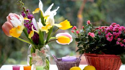 Tulips roses irises flowers bouquets vase basket 4k wallpaper