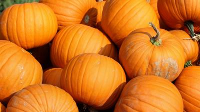 Pumpkin vegetable autumn 4k wallpaper