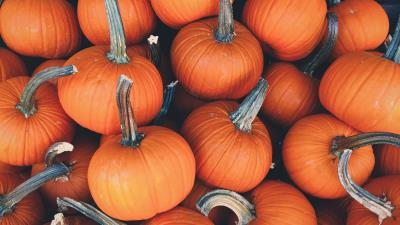 Pumpkin vegetables autumn 4k wallpaper