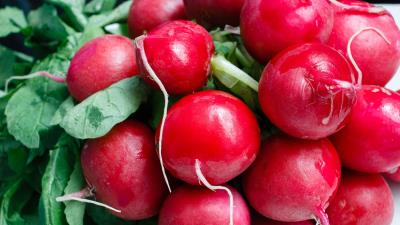 Radish vegetable ripe 4k wallpaper