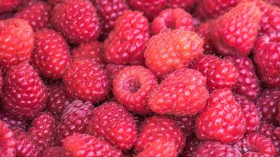 Raspberries berries summer 4k wallpaper