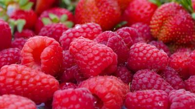 Raspberry berry ripe plenty 4k wallpaper