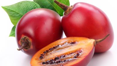 Rose hips berries cut 4k wallpaper