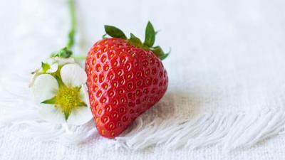 Strawberries berry flowers 4k wallpaper
