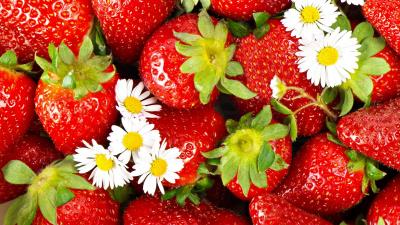 Strawberry berry chamomile 4k wallpaper