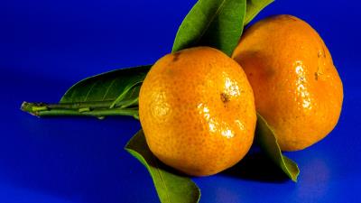 Tangerine citrus fruit 4k wallpaper
