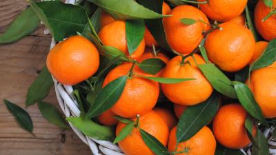 Tangerines oranges fruit leaves citrus 4k wallpaper