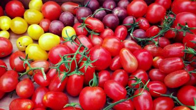 Tomatoes cherry vegetables variety 4k wallpaper