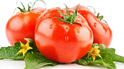 Tomatoes drops white background leaves flowers tails 4k wallpaper