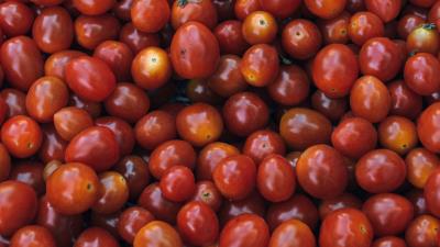 Tomatoes ripe vegetables 4k wallpaper