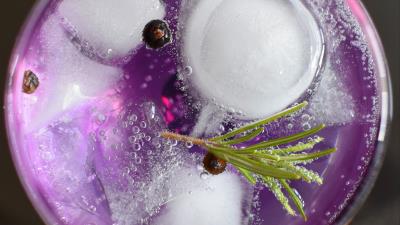 Tonic rosemary currant ice 4k wallpaper
