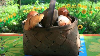 Village walking shopping mushrooms nature 4k wallpaper