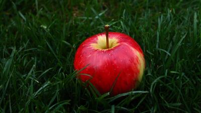 Apple fruit grass 4k wallpaper