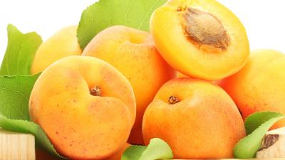 Apricot fruit stone 4k wallpaper