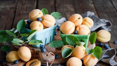 Apricots blueberries dishes fruit 4k wallpaper