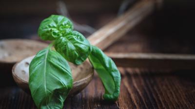 Basil herbs kitchen utensils 4k wallpaper