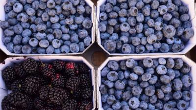 Berries blueberries blackberries 4k wallpaper