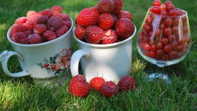 Berries raspberries currants red strawberry summer mugs 4k wallpaper