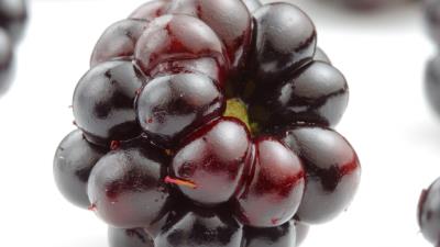 Blackberry berry close up 4k wallpaper