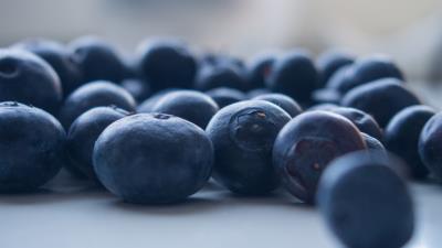 Blueberries berries close up blurred 4k wallpaper