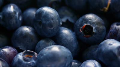 Blueberries berries close up 4k wallpaper