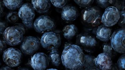 Blueberry berry fruit 4k wallpaper