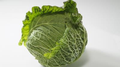 Cabbage white background rocker 4k wallpaper