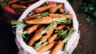 Carrot bag vegetables 4k wallpaper