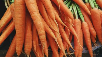 Carrots vegetables many 4k wallpaper
