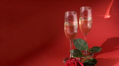 Champagne flower rose 4k wallpaper