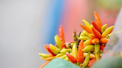 Chili tegucigalpa honduras 4k wallpaper