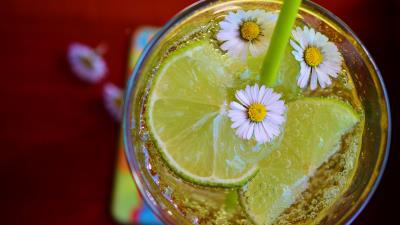 Cocktail lime ice chamomile 4k wallpaper