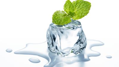 Cube ice mint leaves water white background 4k wallpaper