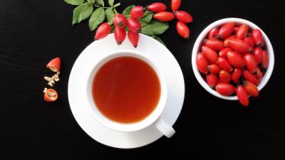 Dog rose tea cup 4k wallpaper