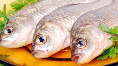 Fish carp plate three parsley herbs 4k wallpaper