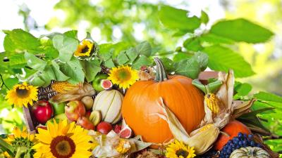 Food autumn composition 4k wallpaper