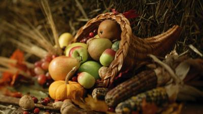 Food autumn harvest composition 4k wallpaper