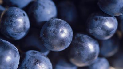 Grapes berries close up 4k wallpaper