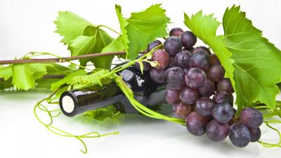 Grapes branch wine 4k wallpaper